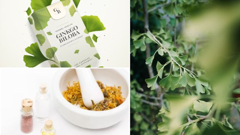 Ginkgo biloba como planta medicinal complementaria para el tratamiento del vértigo.